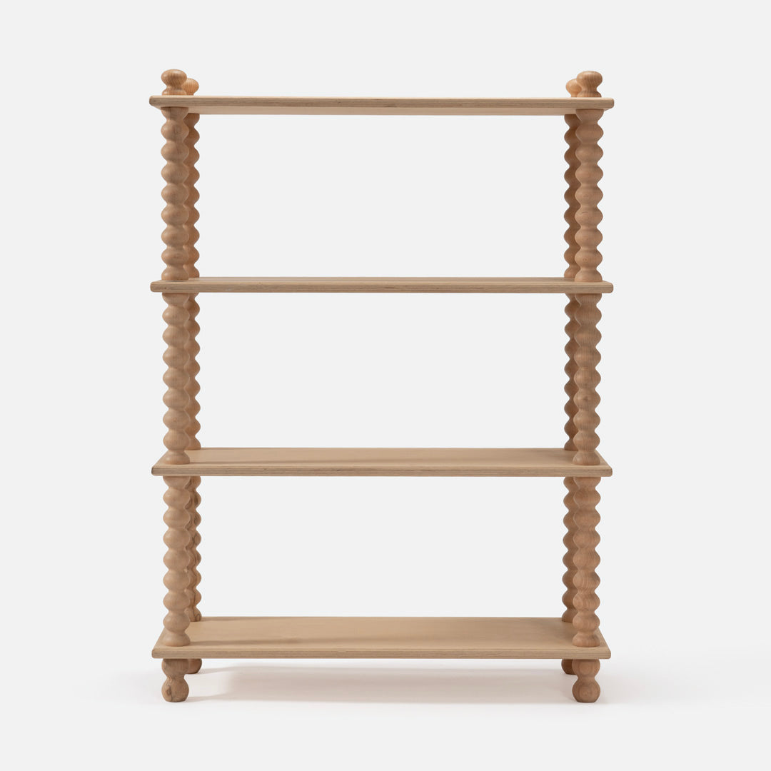 Alice Bookshelf
