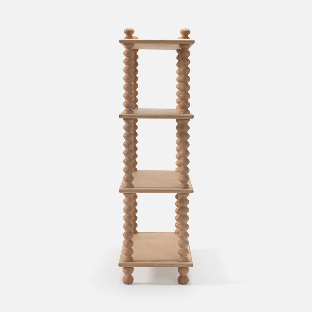 Alice Bookshelf