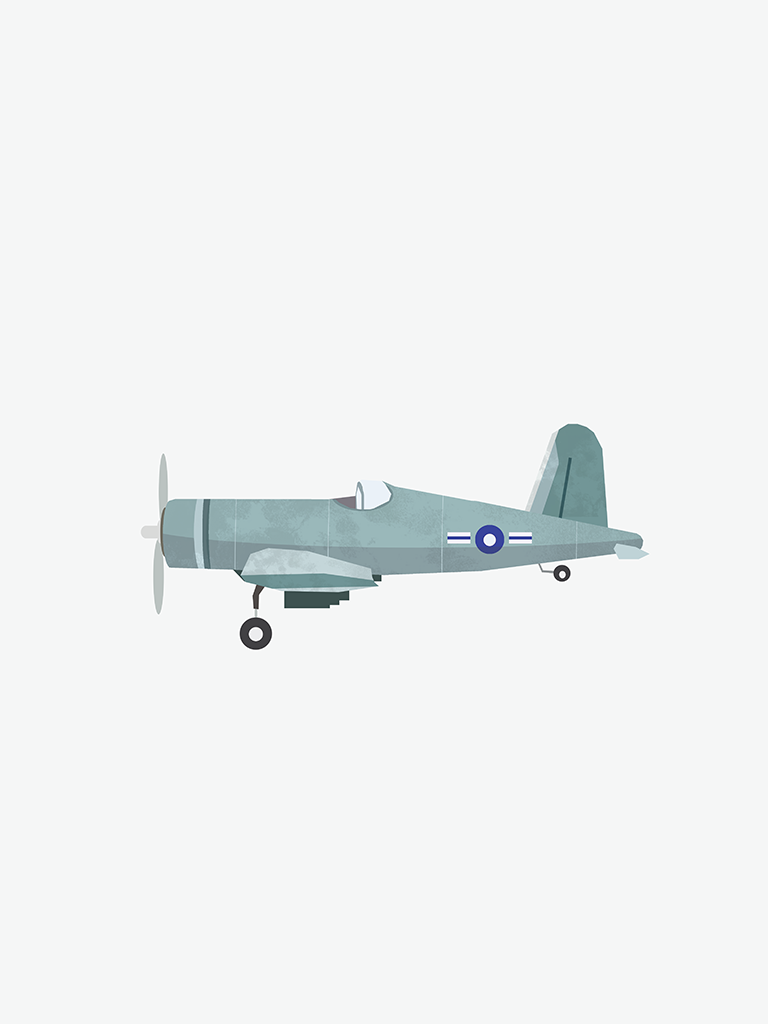 Plane gray Wall Art